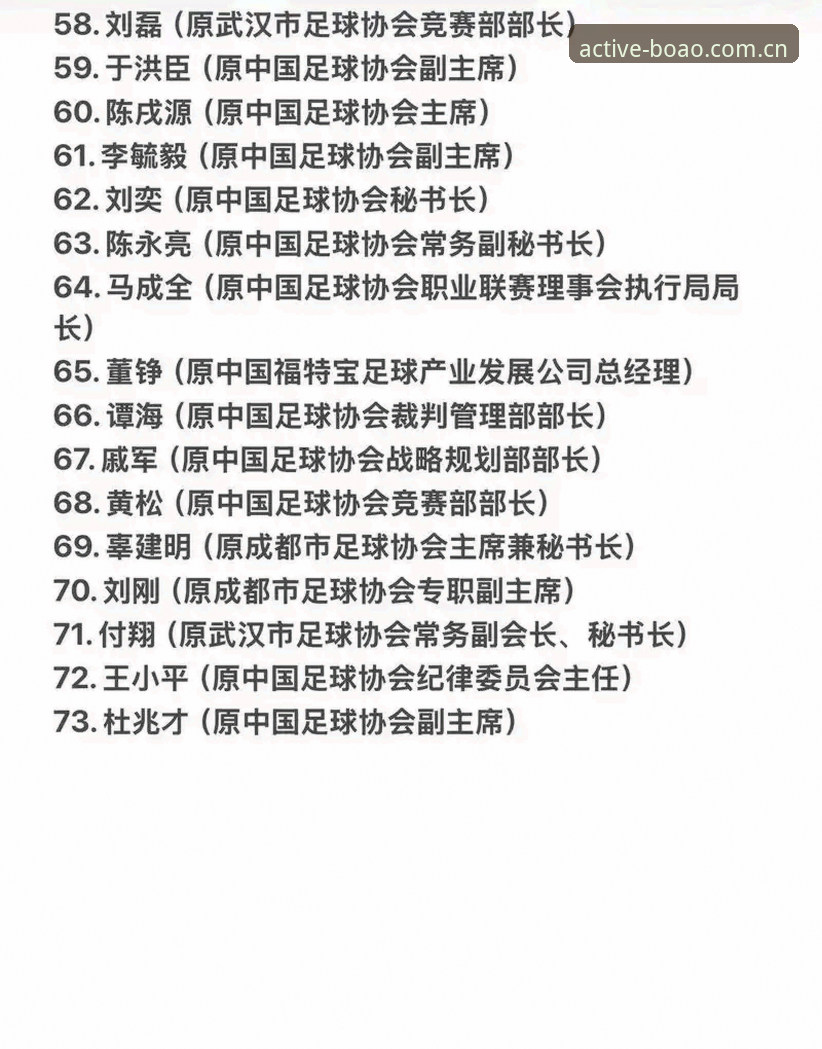 中国足协第三批禁足名单详解——17人终身禁赛背后的乱象与反思